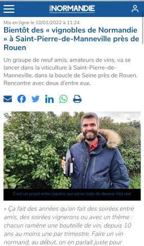 vignoble