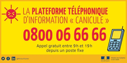 canicule