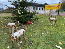 des sapins à décorer à St Pierre