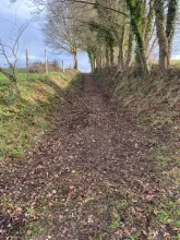 chemin rural