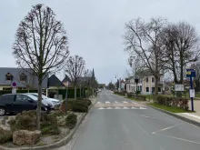 taille des végétaux